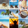 Tropic collage