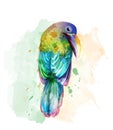 Tropic colorful parrot bird Vector watercolor. Cute bird illustration. blue colors splashs