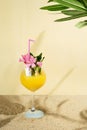 tropic drink on a summer beach with sandy background.green branch making shadow.yellow and pink vibrant Royalty Free Stock Photo