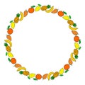 tropic exotic fruit line style round frame