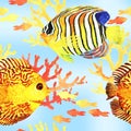 Tropic fishes seamless