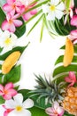 Tropic flat lay top view tropical botanic concept Royalty Free Stock Photo