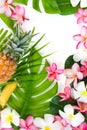 Tropic flat lay top view tropical botanic concept Royalty Free Stock Photo