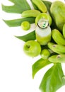 Tropic flat lay top view tropical green fruits Royalty Free Stock Photo