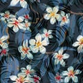 Tropic Floral Exotic Seamless Vector Pattern Royalty Free Stock Photo