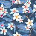 Tropic Floral Exotic Seamless Vector Pattern Royalty Free Stock Photo