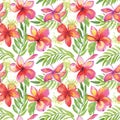 Tropic flower seamless pattern. Watercolor texture hawaiian pink red plumeria textile print. Frangipani blossom, palm leaves for f