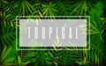 Tropic foliage trendy banner card dark flat style