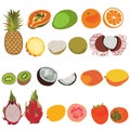 Tropic fruit isolated vector set illustration. Flat style vector set of fruits.