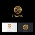 Tropic gold logo. Resort and Spa emblem. Tropical cosmetics. Beauty. Palm leaves in a circle.