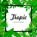 Tropic green leaves background with black frame for your text. Summer card. Exotic Jungle plants, palm leaves. Vector Royalty Free Stock Photo