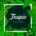 Tropic green leaves background with white frame for your text. Summer card. Exotic Jungle plants, palm leaves. Vector Royalty Free Stock Photo