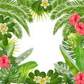 Tropic jungle forest frame. Vector