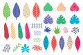 Tropic leaf. Abstract palm elements set. Geometric summer leaves. Tribal floral design. Colorful patterned foliage Royalty Free Stock Photo