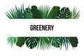 Tropic leaves background with frame for your text. Eps10 vector template.