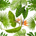 Tropic leaves pattern. Seamless texture with exotic leaves of jungle foliage, monstera and banana palm plants. Vector