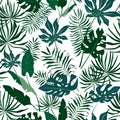 Tropic leaves on white seamless vector pattern Royalty Free Stock Photo