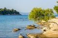 Tropic Mediterranean landscape sea lagoon scenic view rocky beach coast line and south vivid green tree