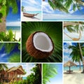 Tropic mix Royalty Free Stock Photo