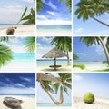 Tropic mix Royalty Free Stock Photo