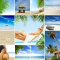 Tropic mix Royalty Free Stock Photo