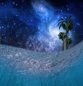 Tropic Night Underwater Scene