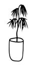 Tropic palm in flowerpot. Home plant. Outline style. Vector isolated element