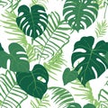 Seamless pattern from the leaves of tropical plants. Leaves of palm tree and monstera.