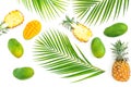 Tropic pattern of pineapple and mango fruits with palm leaves on white background. Flat lay, top view. Tropical concept. Royalty Free Stock Photo