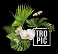 Tropic plants banner