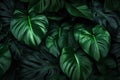 botany nature leaf colourful background forest tropical jungle palm tree green. Generative AI. Royalty Free Stock Photo