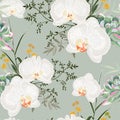 Tropic summer painting seamless pattern with eucaliptus, herbs and white orchid flowers. Royalty Free Stock Photo