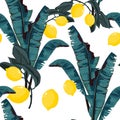 Tropic summer painting seamless vector pattern with palm banana leaf and lemons. Floral jungle pattern Royalty Free Stock Photo