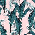 Tropic summer painting seamless vector pattern with palm banana leaf and plants. Royalty Free Stock Photo