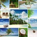 Tropic mix Royalty Free Stock Photo