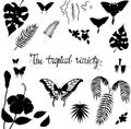 The tropic variety butterflies, leaves and flowers silhouettes Royalty Free Stock Photo