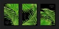 741_Vector tropical banners set. Palm leaf with text on black background.