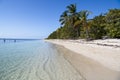 Lush vegetation on natural beach in Tropes Royalty Free Stock Photo