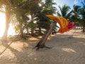 Tropica beach Royalty Free Stock Photo
