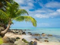 Tropica beach Royalty Free Stock Photo