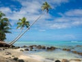 Tropica beach Royalty Free Stock Photo