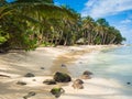 Tropica beach Royalty Free Stock Photo