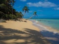 Tropica beach Royalty Free Stock Photo
