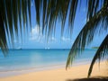 Tropica beach Royalty Free Stock Photo