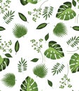 Tropica flower and palm leaves pattern