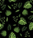 Tropica flower and palm leaves pattern black