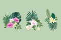 Set of flower illustrations