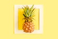 Tropical abstract background, pattern with coconut and pineapple, on yellow background. Summer concept. Flat lay, top Royalty Free Stock Photo