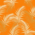Tropical abstract seamless pattern with leaves. Beautiful tropical isolated leaves.