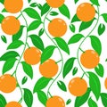 Tropical abstract seamless vector pattern with an orange, leaves. For printing and design. Royalty Free Stock Photo